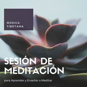 Sesión de Meditación: Música Tibetana para Aprender y Enseñar a Meditar - Música para Sanar el Alma