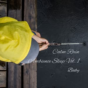 Baby: Calm Rain Ambience Sleep Vol. 1 - Baby Sleep Music
