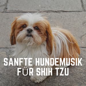 Sanfte Hundemusik Für Shih Tzu - Hundemusik