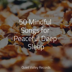 50 Mindful Songs for Peaceful Deep Sleep - Tranquility Spa Universe