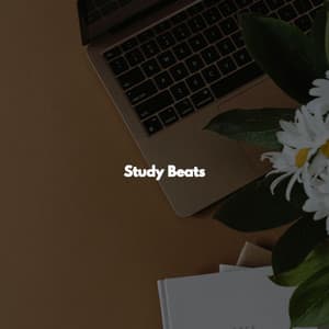 Study Beats - Hotel Lobby Jazz Music