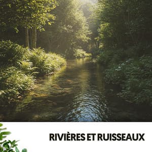 Rivières et Ruisseaux: Harmonies de la Rivière - Relajacion