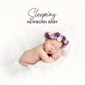 Dreaming of Stars: Soothing Baby Sleep Music – Cradle Lullabies - Baby Sleep Lullaby Academy