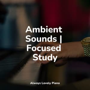 50 Harmonious & Pure Piano Songs for Tranquility - Musica de Piano Escuela