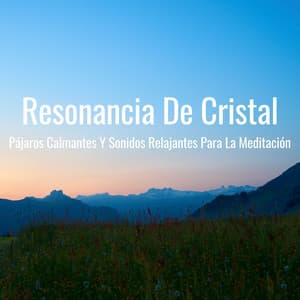 Resonancia De Cristal: Pájaros Calmantes Y Sonidos Relajantes Para La Meditación - Los Pájaros Cantores