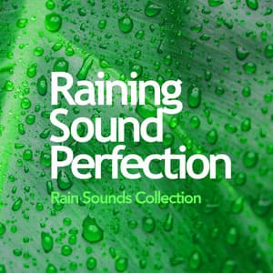 Raining Sound Perfection - Rain Sounds Collection