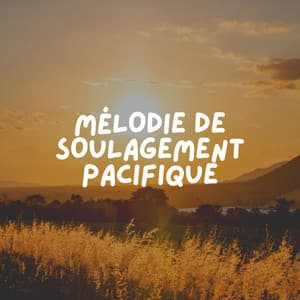 Mélodie de Soulagement Pacifique - Musique Relaxante et Détente