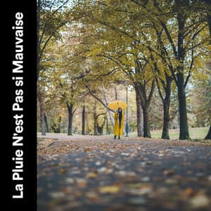 La Pluie N'est Pas si Mauvaise - Sons De Pluie HD