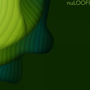 Life inside a Square - NULOOFI