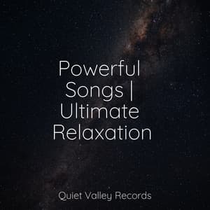 Powerful Songs | Ultimate Relaxation - Sleep Music System