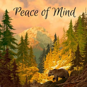 Peace of Mind - Rain Sound Plus