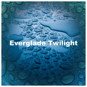 Everglade Twilight - Florida Nature