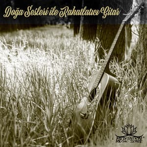 Doğa Sesleri ile Rahatlatıcı Gitar: Uyku, Rahatlama, Spa, Stres Giderme için Sakinleştirici Müzik - Meditation Music Zone