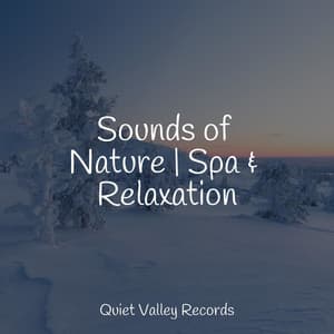 Sounds of Nature | Spa & Relaxation - Musica Reiki
