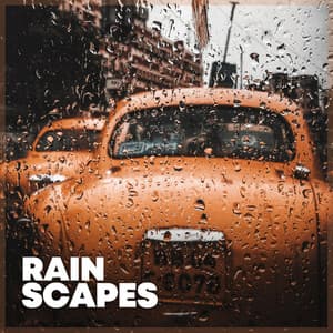 Rainscapes - Rain is my Life
