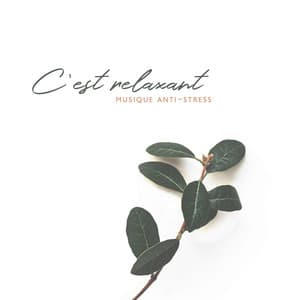 C'est relaxant: Musique anti-stress - Oasis Des Bruits Naturels