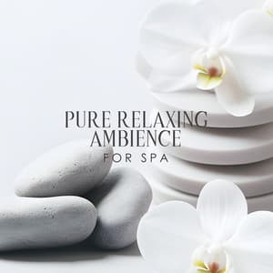 Pure Relaxing Ambience for Spa - Spa Music Paradise Zone