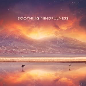 Soothing Mindfulness - Mindfulness Meditation Universe