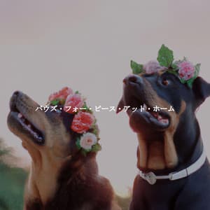 パウズ・フォー・ピース・アット・ホーム - Calming Instrumental Jazz Ambiance