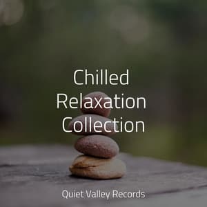 Chilled Relaxation Collection - Nature Ambience