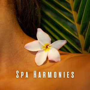 Spa Harmonies: Meditative Piano Medleys - Relaxing Piano Music For The Soul