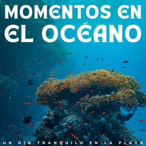 Momentos En El Océano: Un Día Tranquilo En La Playa - Atmósferas oceánicas