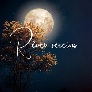 Rêves sereins: Musique instrumentale New Age pour le sommeil, Relaxation profonde - Oasis Relaxante Pour Dormir