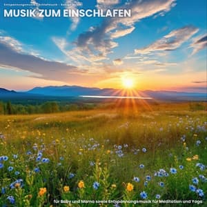 Musik zum Einschlafen für Baby und Mama sowie Entspannungsmusik für Meditation und Yoga - Entspannungsmusik