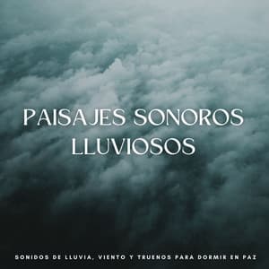 Paisajes Sonoros Lluviosos: Sonidos De Lluvia, Viento Y Truenos Para Dormir En Paz - Relajantes sonidos de lluvia