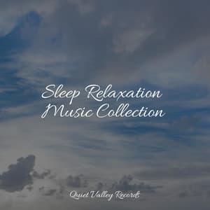 Sleep Relaxation Music Collection - Rain Man Sounds
