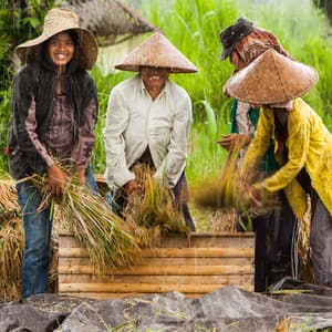 Rainy Workstation Retreat: Binaural Serenity for Enhanced Productivity - Ricky Rainsound