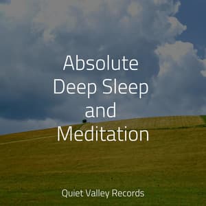 Absolute Deep Sleep and Meditation - Instrumental