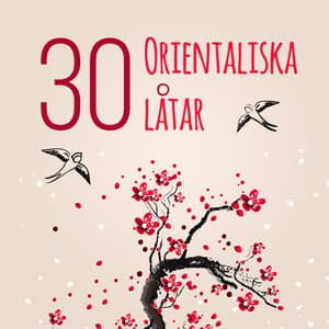 30 Orientaliska låtar: Asiatisk zen musik för buddistisk meditation, Stillhet och omgivnings koppla - Zen Musik Akademi