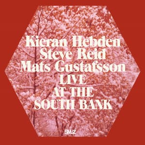 Live at the South Bank - Kieran Hebden