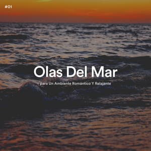 #01 Olas Del Mar para Un Ambiente Romántico Y Relajante - Olas del Mar