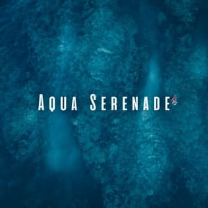 Aqua Serenade: Ocean and Chill Sounds for a Revitalizing Massage - Calming Waves