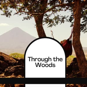 Through the Woods - Concentration Music for Work