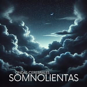 Ondas Cerebrales Somnolientas: Relajación Profunda por la Noche - Técnicas de Meditación Academia