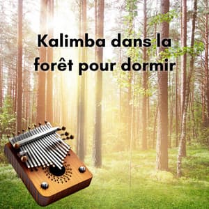 Kalimba dans la forêt pour dormir - New Age Musique Zen
