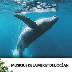 Musique de la Mer et de l'Océan: Flow de la Mer - Dog Relaxation