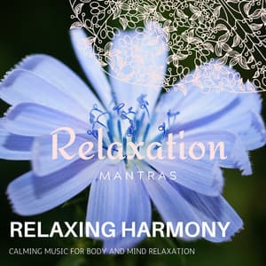 Relaxing Harmony - Calming Music for Body and Mind Relaxation - Massage Tribe