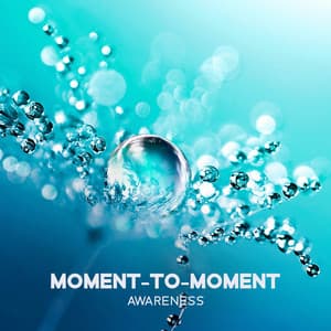 Moment-to-Moment Awareness: Mindful Nature Sounds with Gentle Music, Concentration on the Now, Reiki Healing and Pregnancy Relaxation - Hypnobirthing Music Company