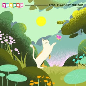 Beds: Playfully Curious - Jack Richard Pierce