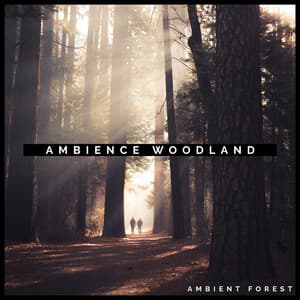 Ambience Woodland - Ambient Forest
