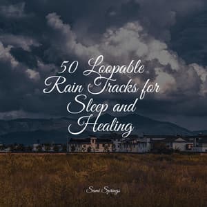 50 Loopable Rain Tracks for Sleep and Healing - Loopable Rain Sounds