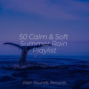 50 Calm & Soft Summer Rain Playlist - Rain Sound Studio
