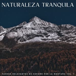 Naturaleza Tranquila: Paseos Relajantes De Verano Por La Montaña Vol. 1 - Canal de la Naturaleza sin Interrupción