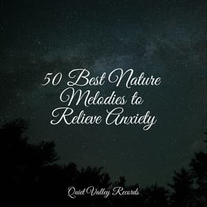 50 Best Nature Melodies to Relieve Anxiety - Saludo al Sol Sonido Relajante