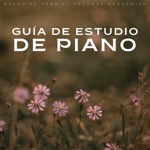 Guía De Estudio De Piano: Melodías Para El Enfoque Académico - Experiencia de piano y olas oceánicas