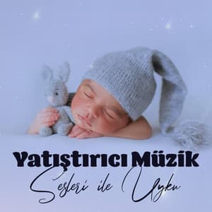 Yatıştırıcı Müzik: Sesleri ile Uyku Müziği, Bebek Uyku Ninnileri, Bebek Için Gürültü - Bebek Uyku Ninnileri